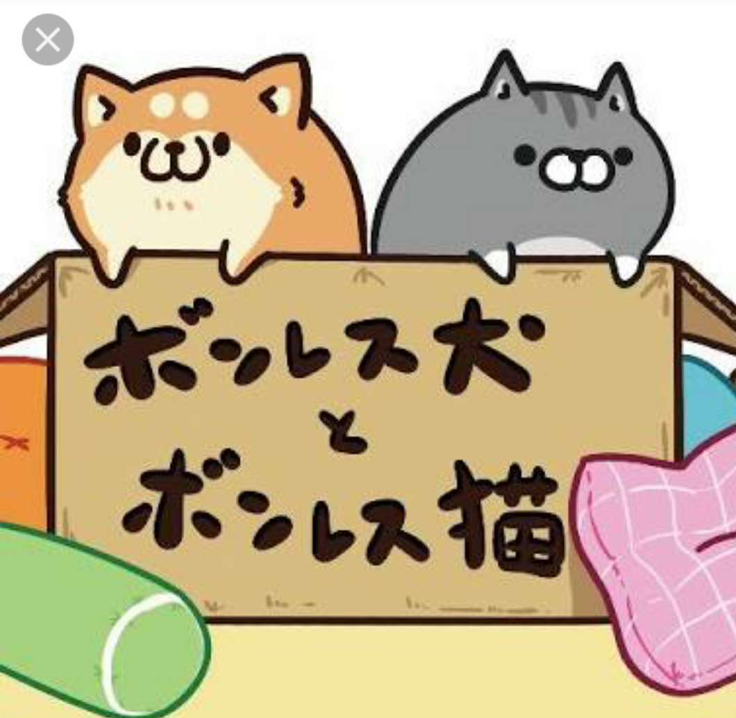 直近で保存した画像見せて！