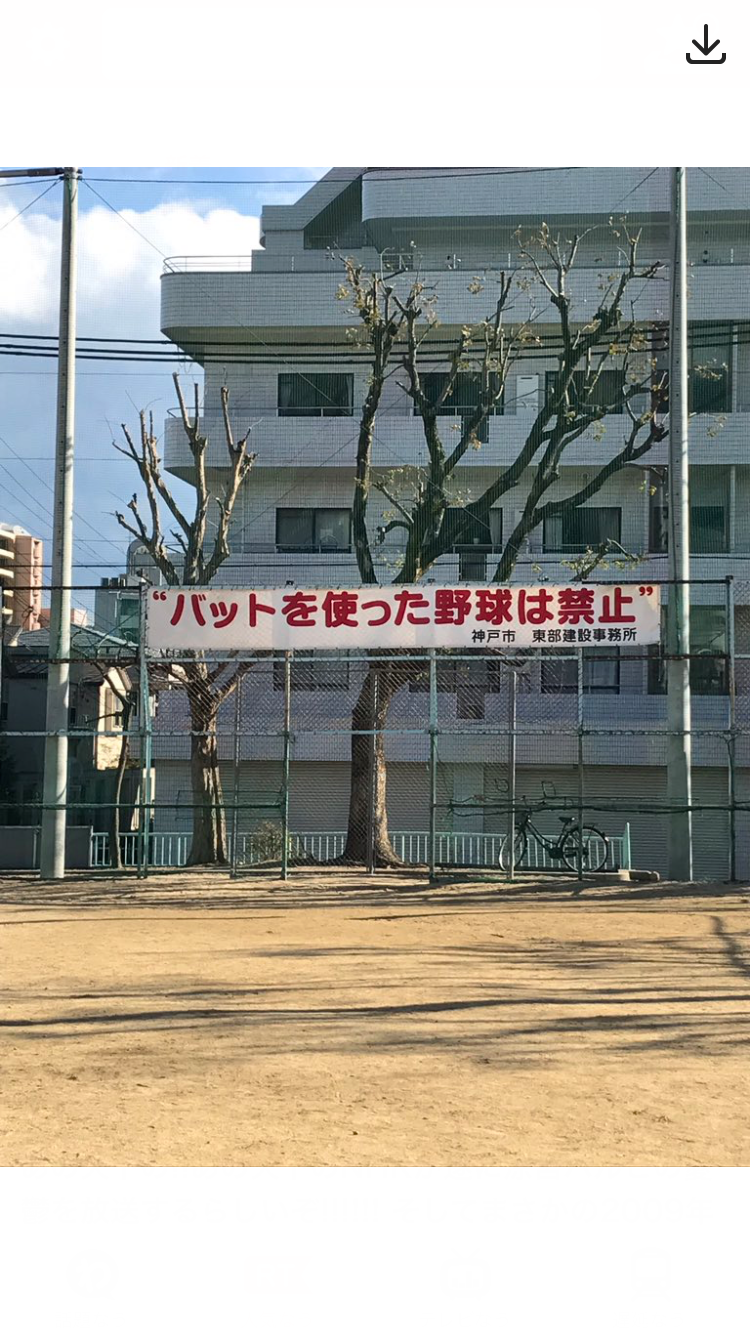 直近で保存した画像見せて！