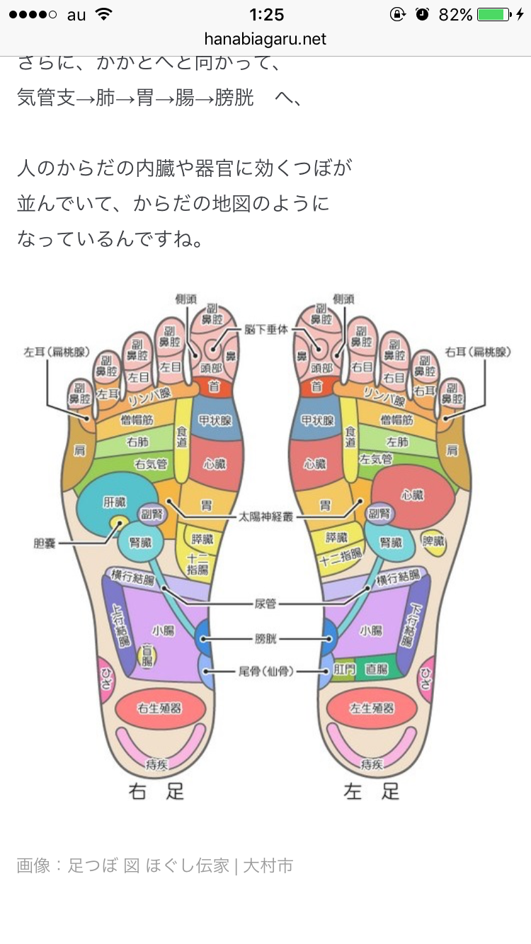 直近で保存した画像見せて！