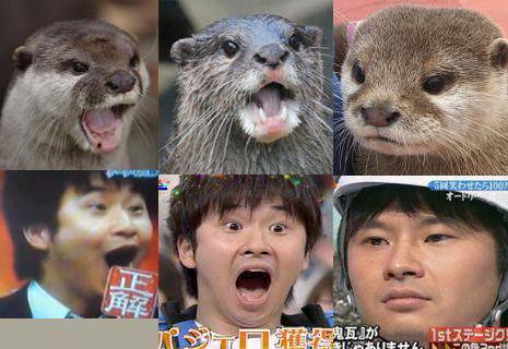 直近で保存した画像見せて！