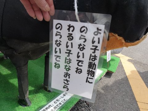 直近で保存した画像見せて！