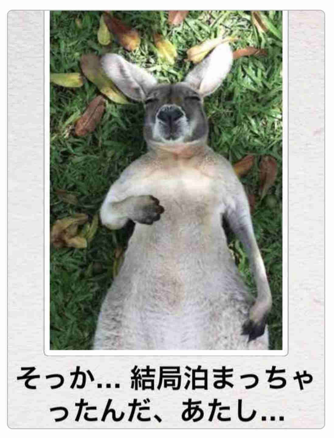 直近で保存した画像見せて！