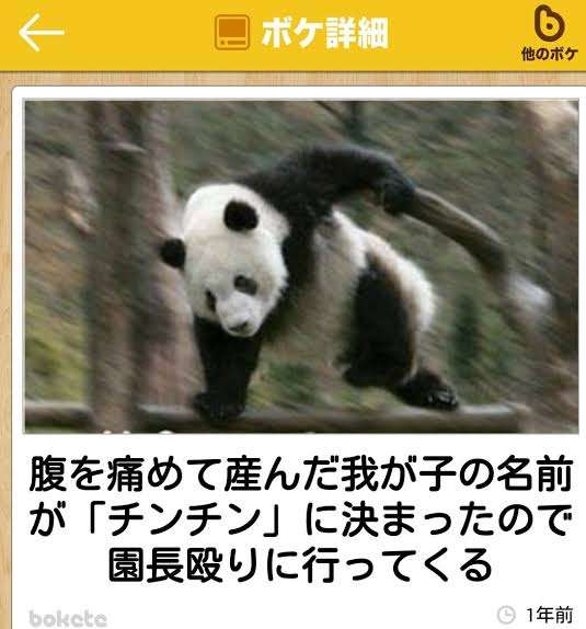 直近で保存した画像見せて！