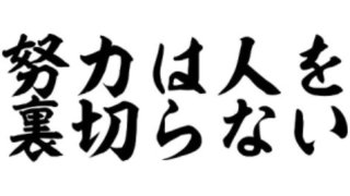 直近で保存した画像見せて！