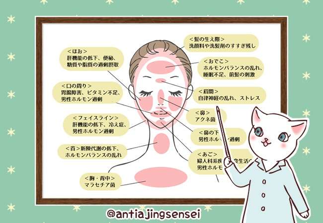 直近で保存した画像見せて！