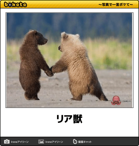 直近で保存した画像見せて！