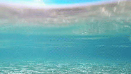 直近で保存した画像見せて！