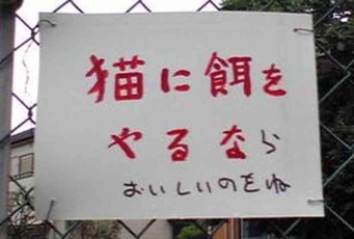 直近で保存した画像見せて！