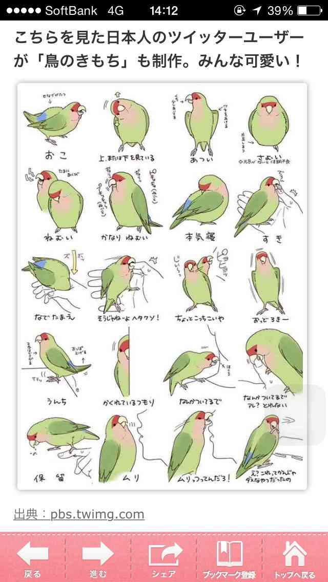 直近で保存した画像見せて！
