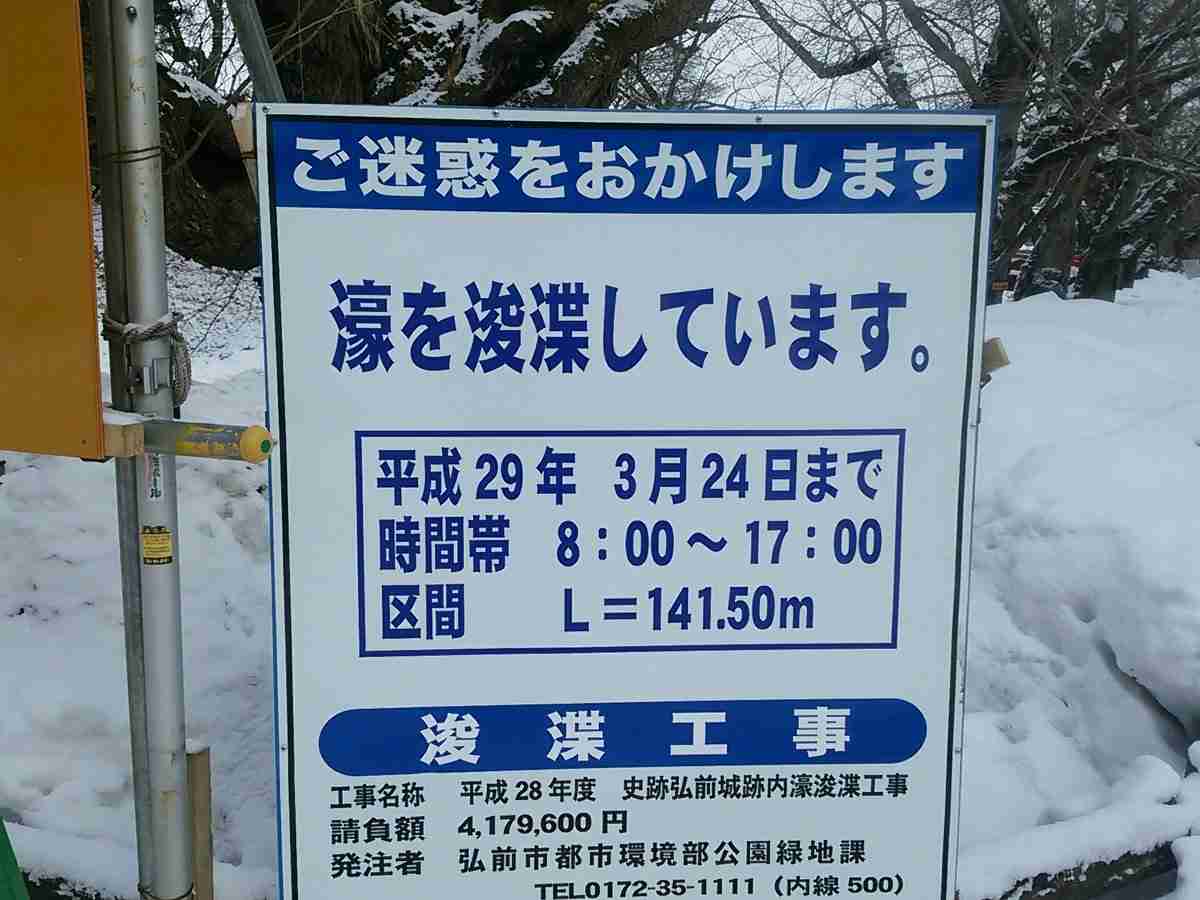 直近で保存した画像見せて！