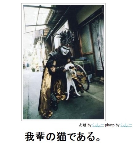 ペットの写真を貼っていくトピ