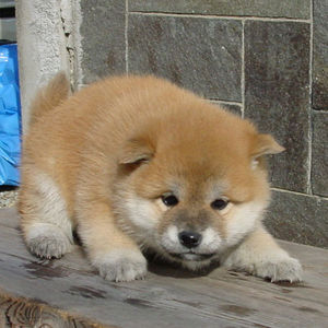 【大喜利】あなたがEXILEをクビになった理由は？