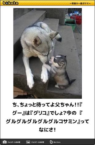 中居正広、Kis-My-Ft2北山宏光への“アドバイス”にネット感動。「泣くんですけど」「関係素晴らしい」