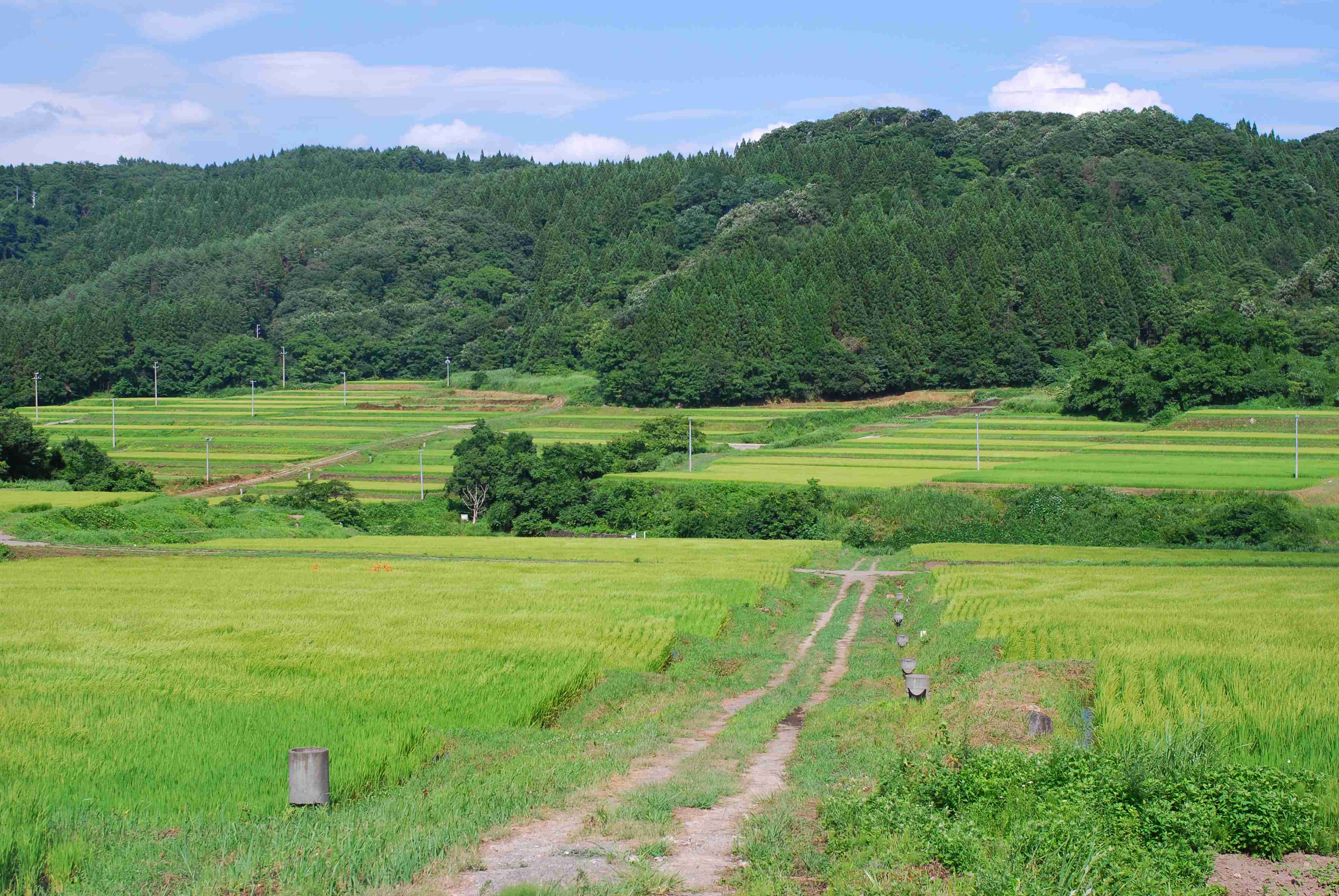 田舎のメリット