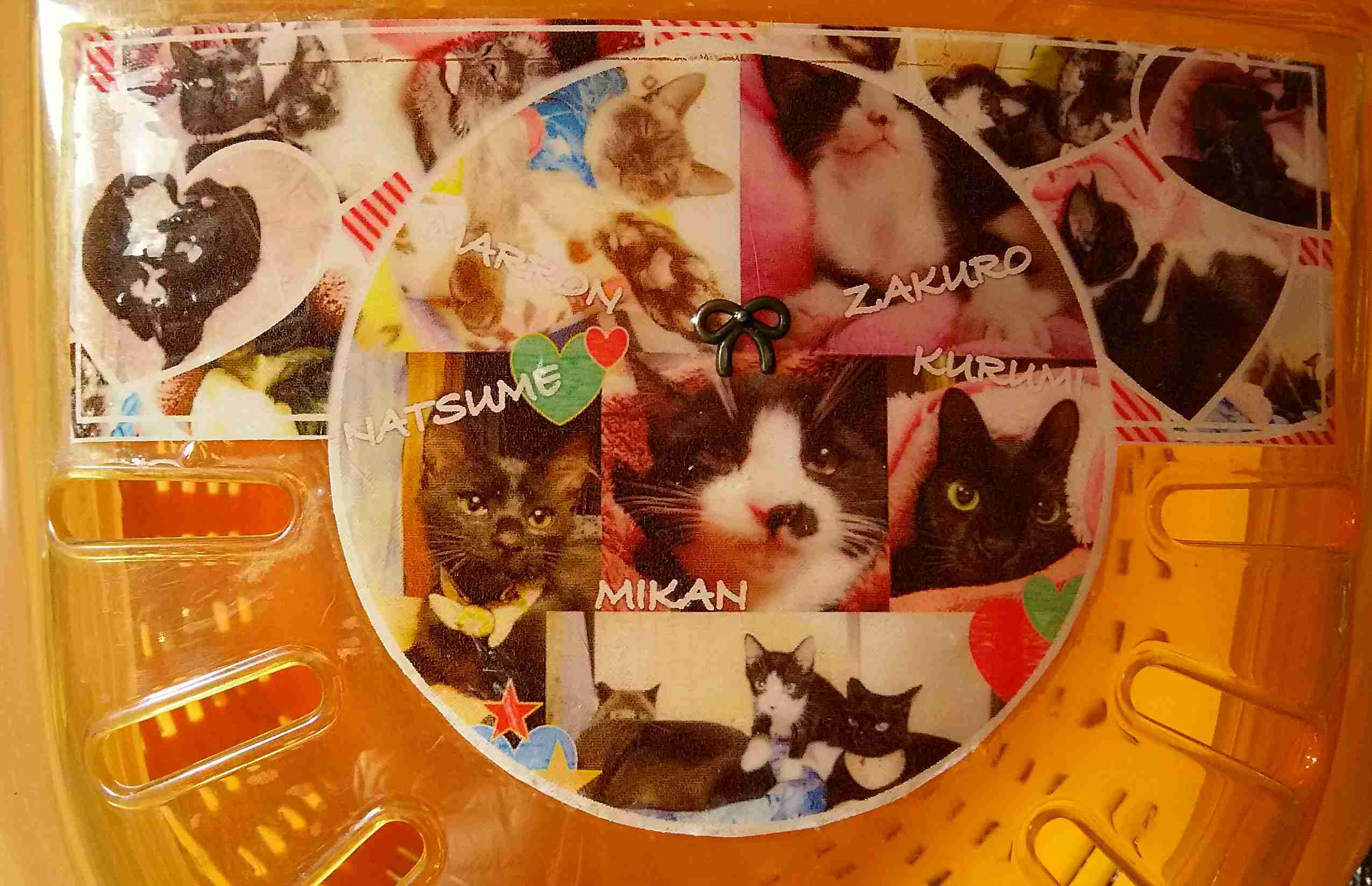 猫グッズで溢れるトピ