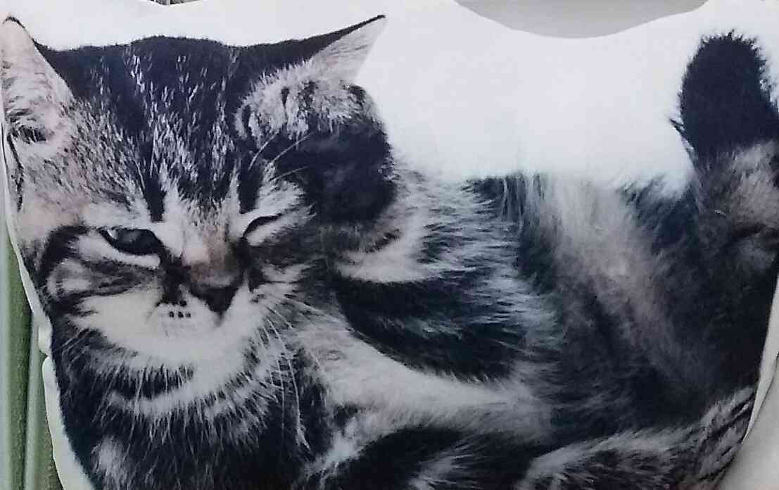 猫グッズで溢れるトピ