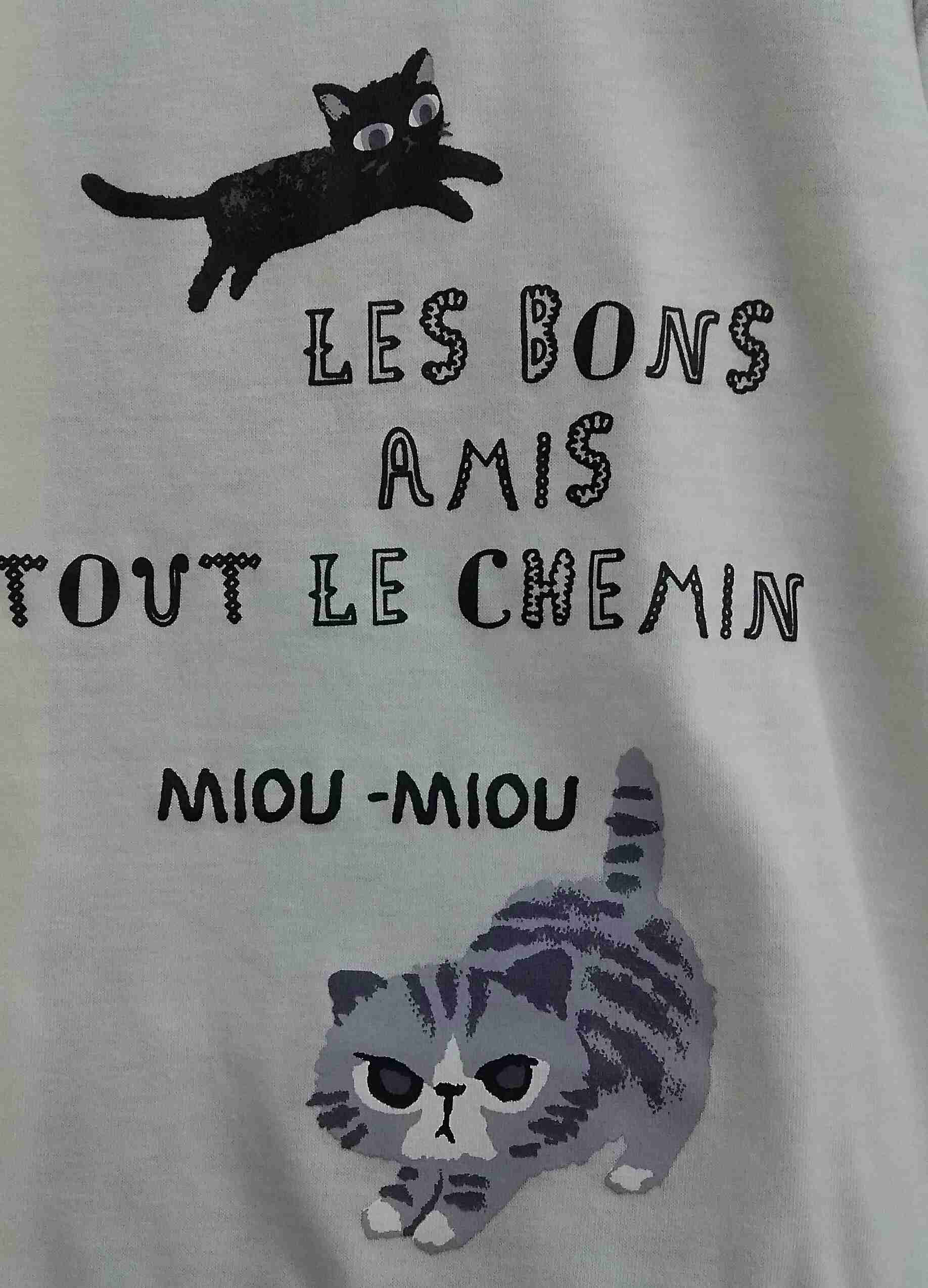 猫グッズで溢れるトピ