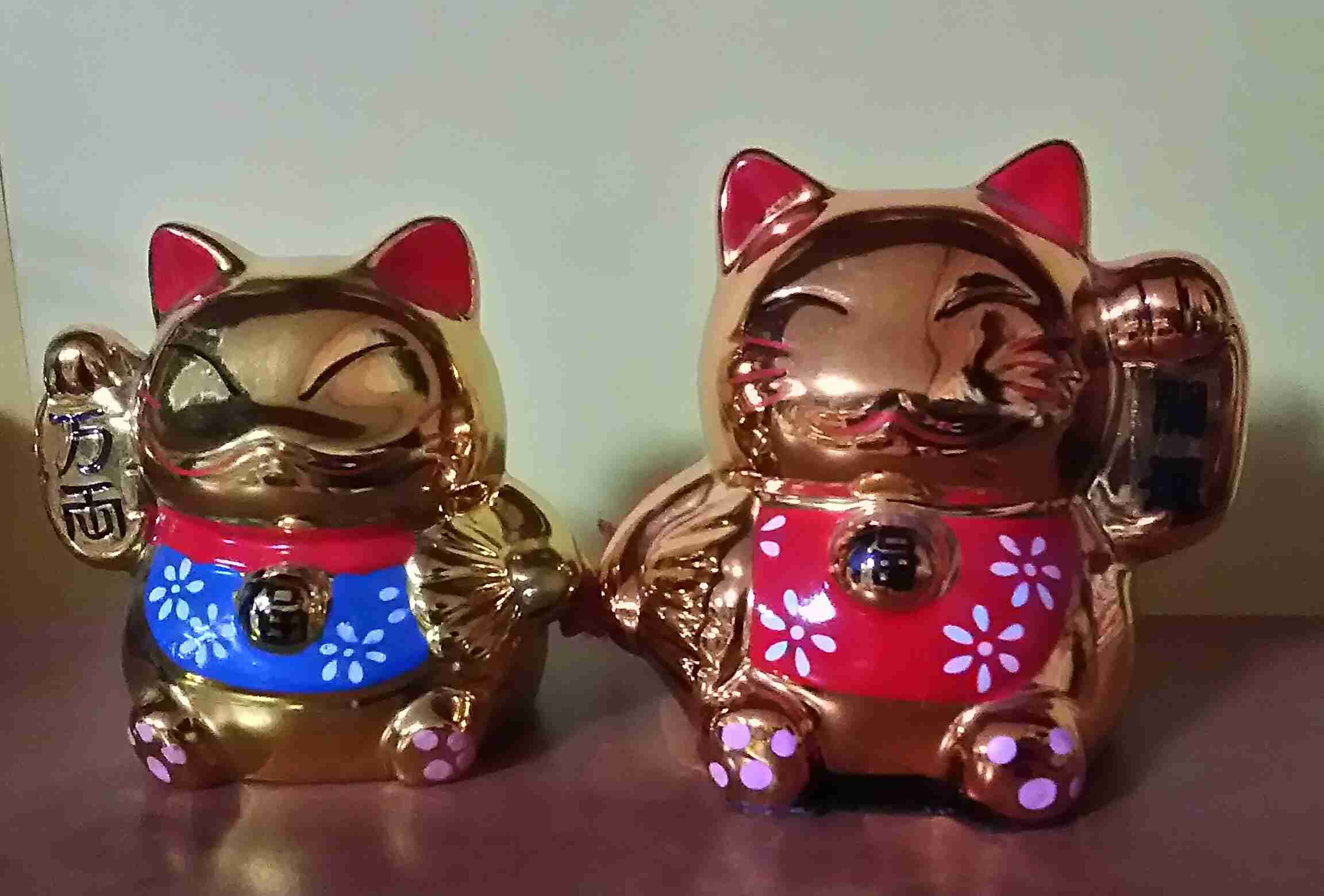 猫グッズで溢れるトピ