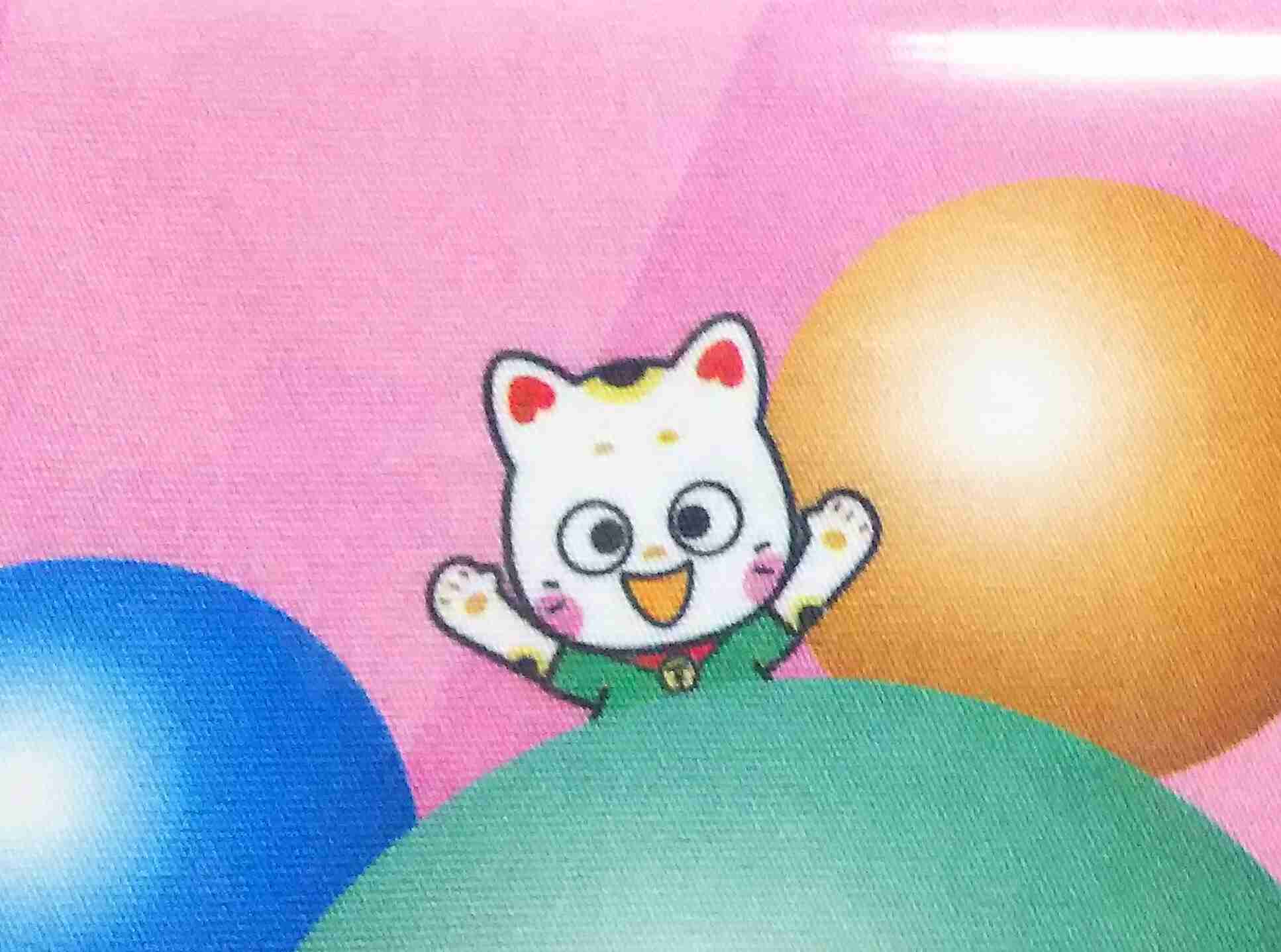 猫グッズで溢れるトピ