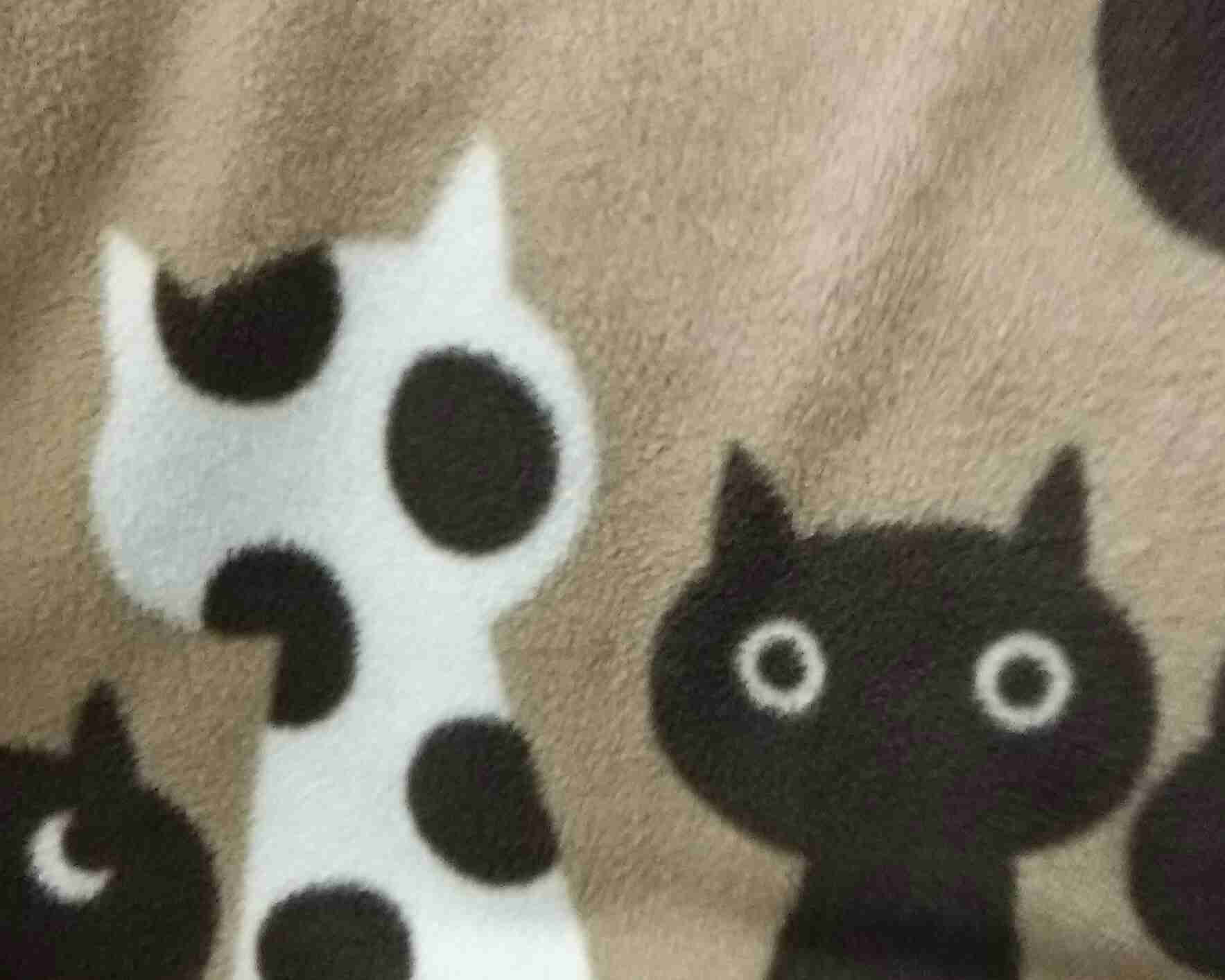 猫グッズで溢れるトピ