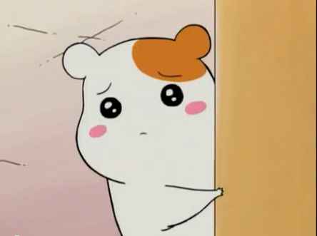 ハムスター飼い方