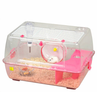 ハムスター飼い方