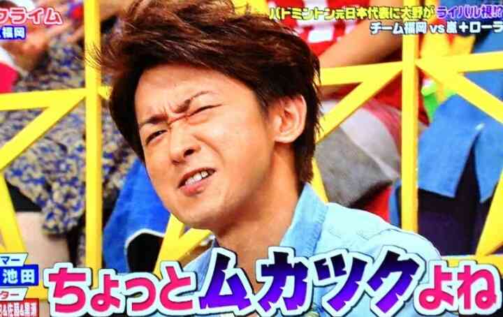 嵐が嫌いな人（ファンは来ないでください）