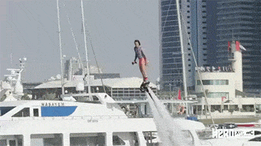 目を疑った画像を貼るトピ