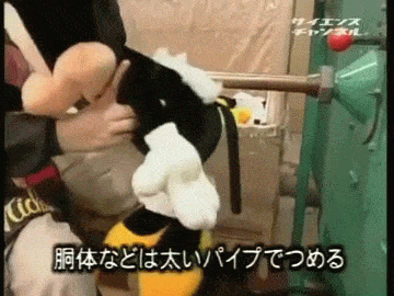目を疑った画像を貼るトピ