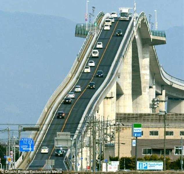 目を疑った画像を貼るトピ