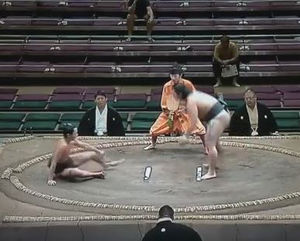 目を疑った画像を貼るトピ