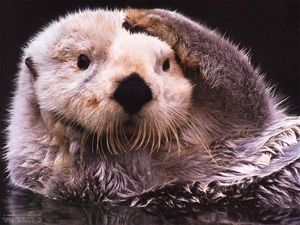 トピタイトルにトピ画を付ける練習トピ