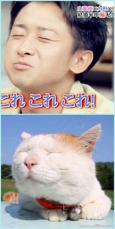 とても他人事とは思えなかった事