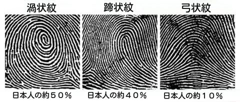 「ハーフ？」という言葉は褒め言葉？