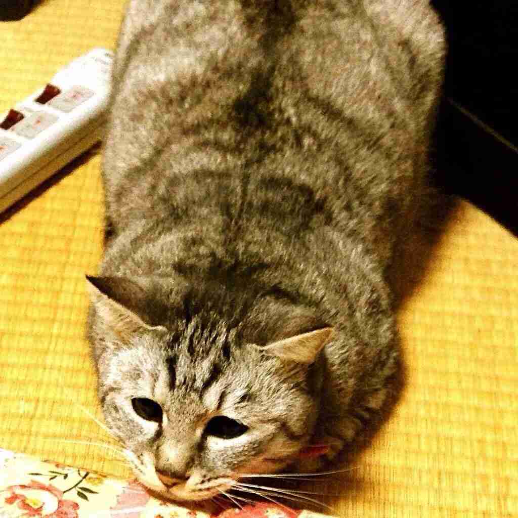 今日落ち込んだことを書き込むトピ