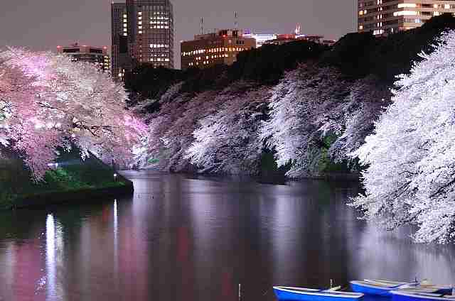 韓流が苦手な人だけ集まれ！part3