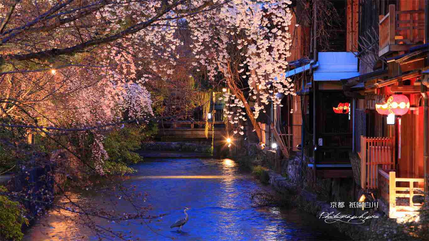 韓流が苦手な人だけ集まれ！part3