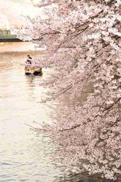 韓流が苦手な人だけ集まれ！part3