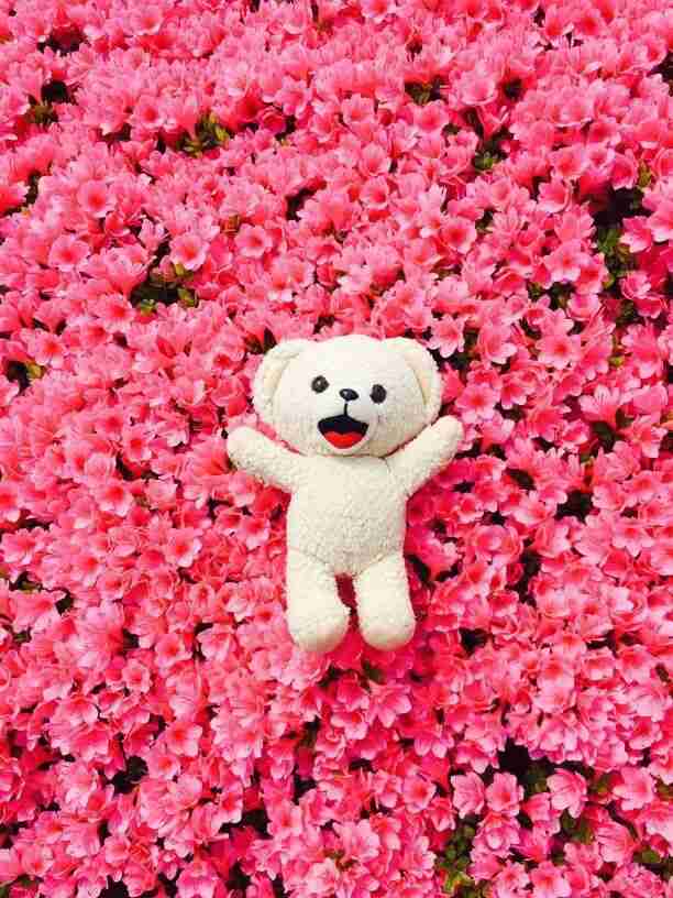 韓流が苦手な人だけ集まれ！part3