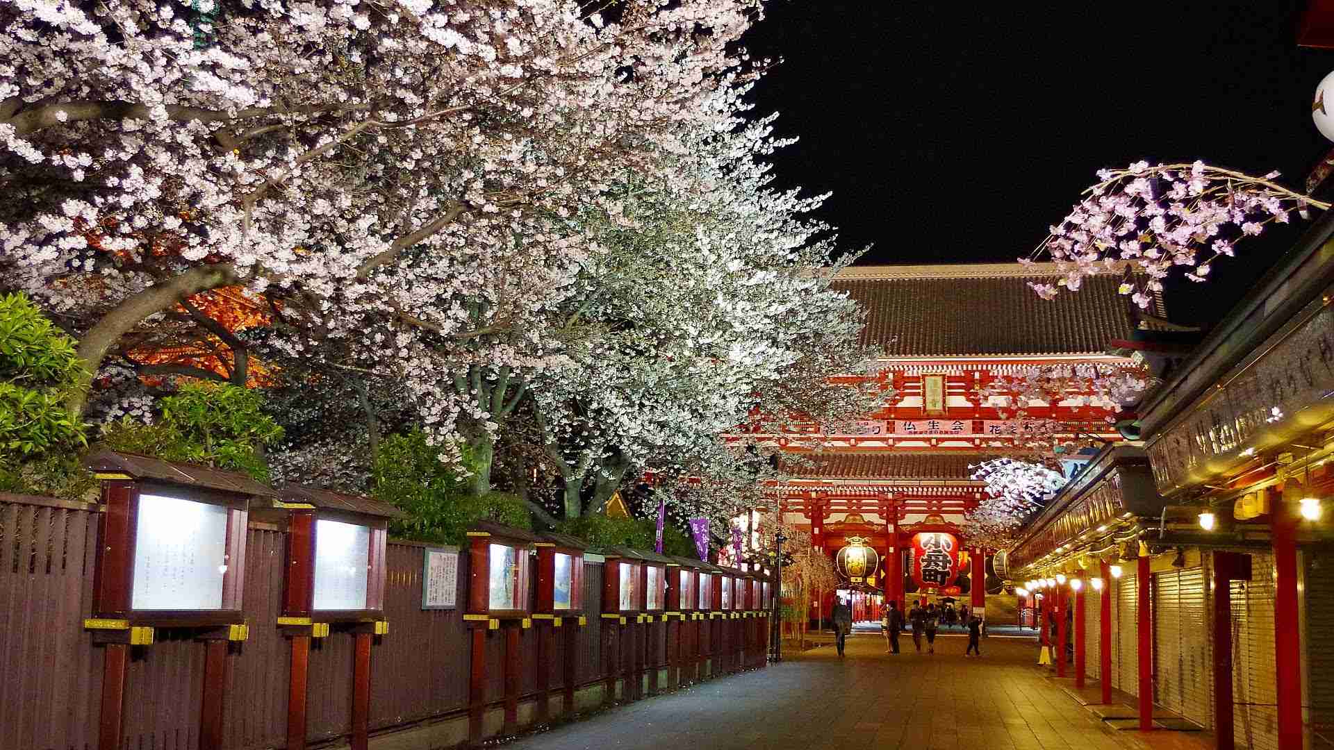 韓流が苦手な人だけ集まれ！part3