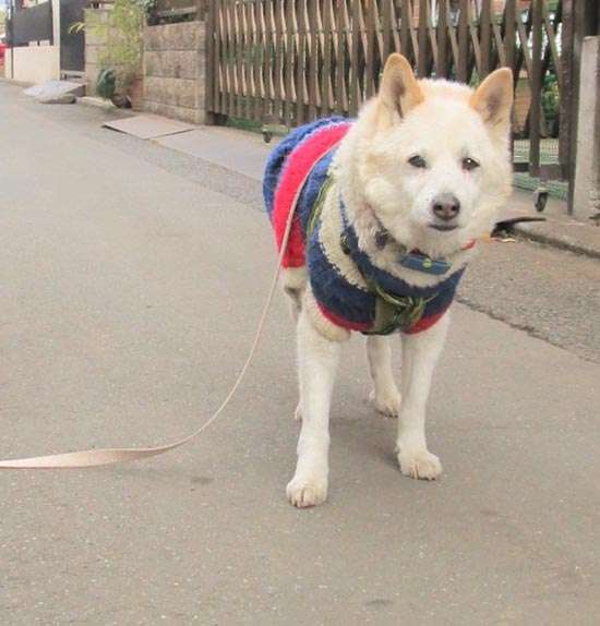 心細い・寂しい・どん底系の画像下さい