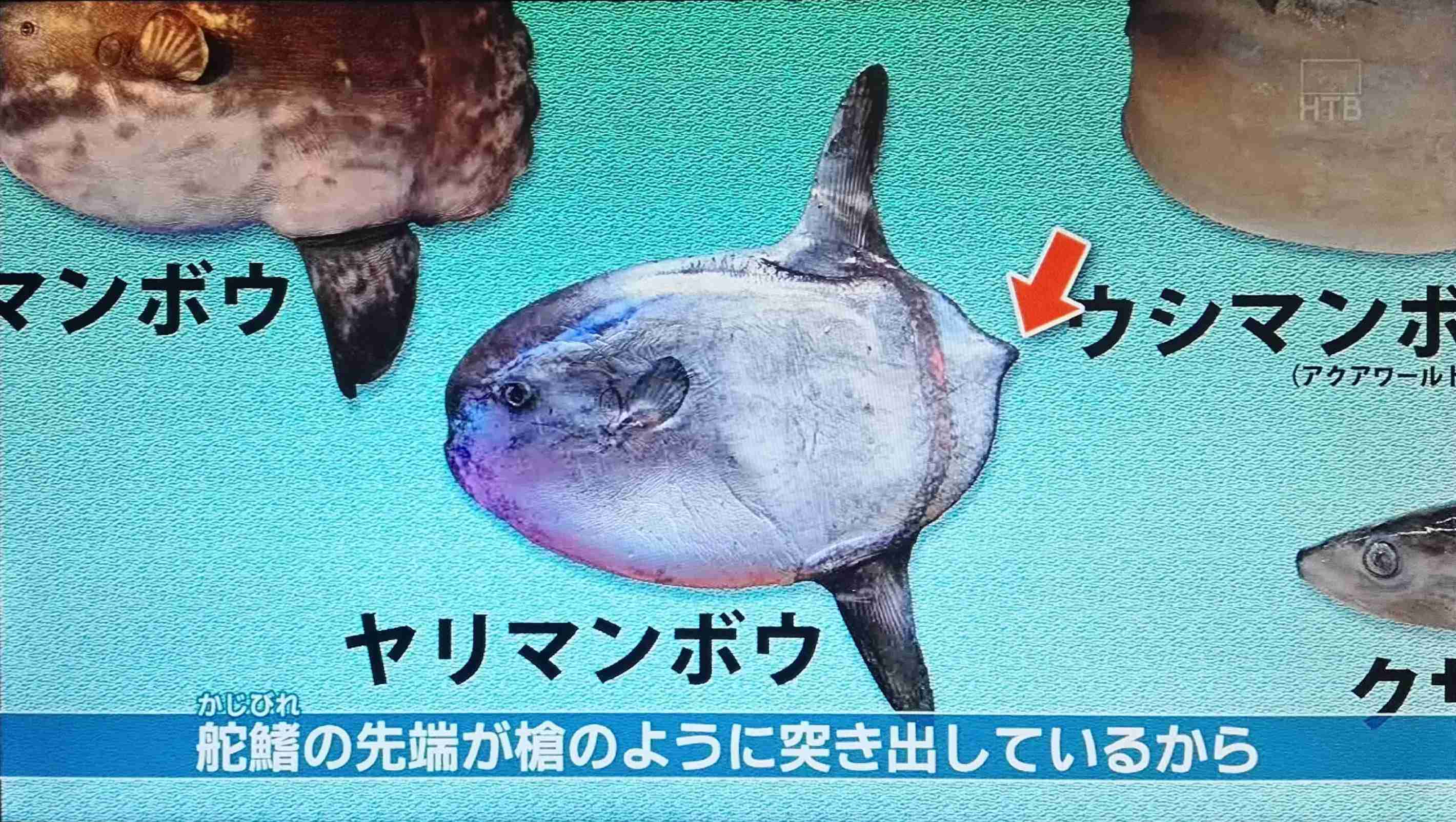 笑える名前