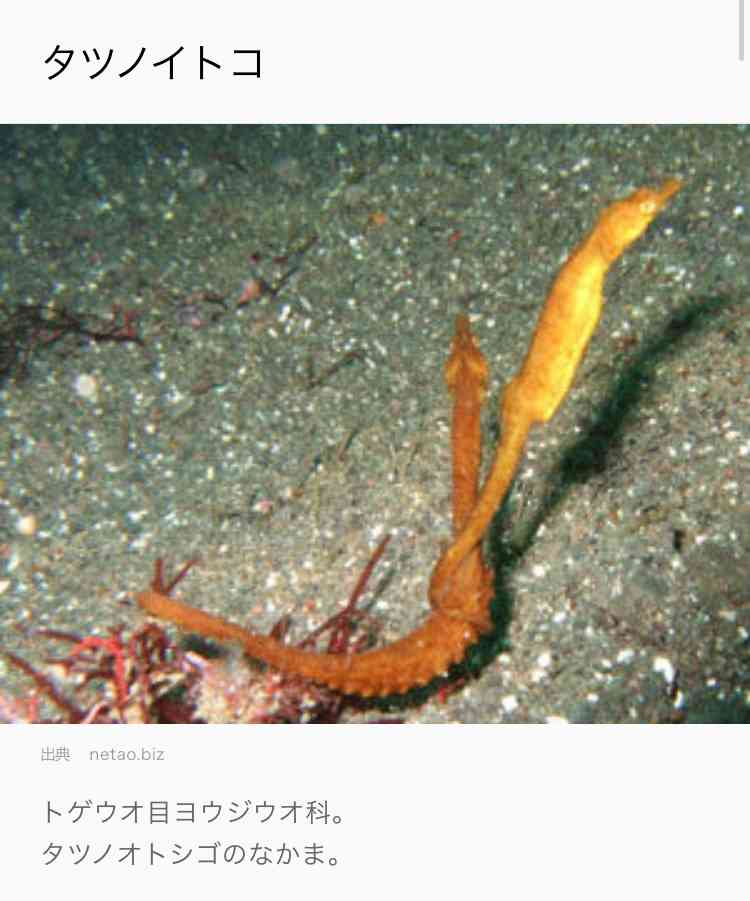 笑える名前