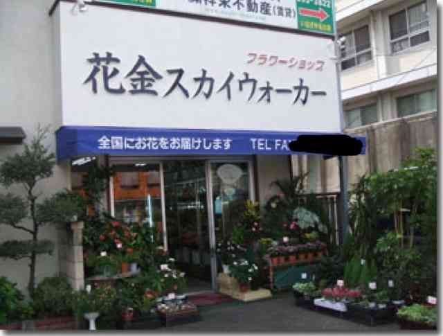 笑える名前