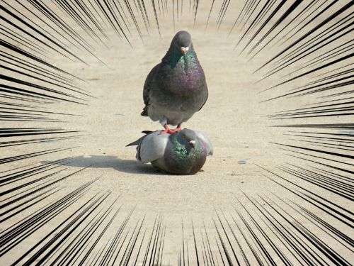 集中線を入れて迫力を出すトピ