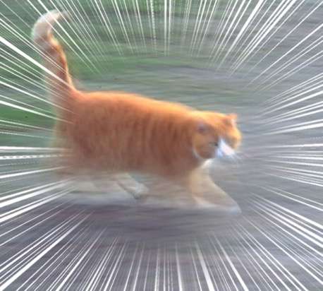 集中線を入れて迫力を出すトピ