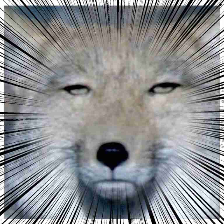 集中線を入れて迫力を出すトピ