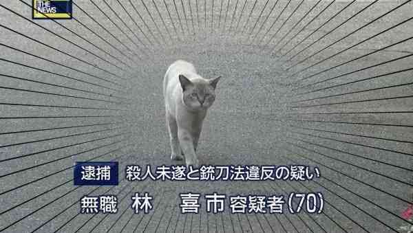 集中線を入れて迫力を出すトピ