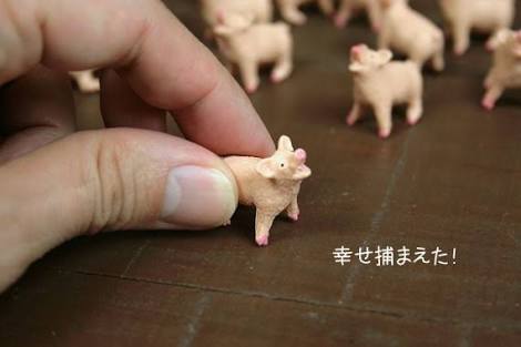 最近ブタが好き。