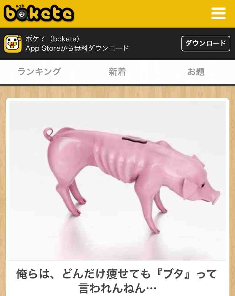 最近ブタが好き。